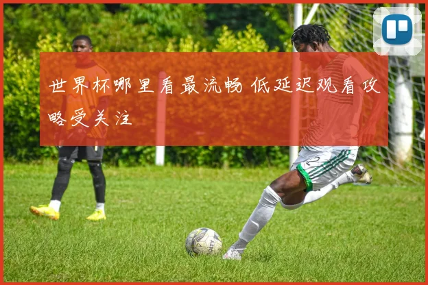 世界杯哪里看最流畅 低延迟观看攻略受关注