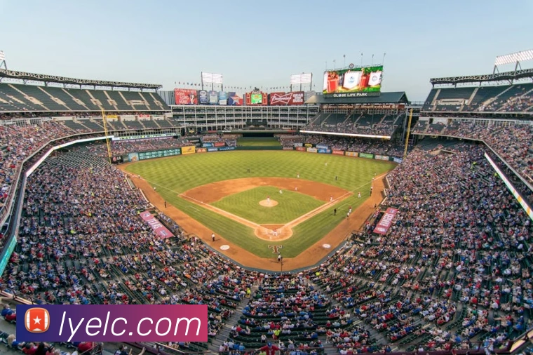 星空app官网服务体系